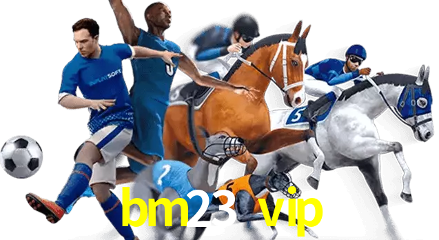 bm23 vip