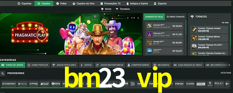cassino bm23 vip